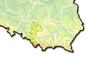 Ilustracja: 2 śląskie SIP-y załapały się na dofinansowanie <br />
fot. Wikipedia/Wulfstan