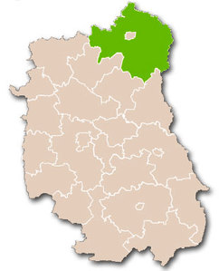 Ilustracja: Sporo chętnych do informatyzacji bialskiego zasobu <br />
fot. Wikipedia