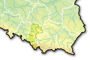 Ilustracja: Ponad 82 mln zł na śląskie e-usługi