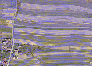 Ilustracja: 10 mln zł na wadowicką geodezję <br />
Geoportal powiatu wadowickiego