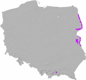 Ilustracja: Więcej danych LiDAR dla wschodniej Polski <br />
Zasięg aktualizacji (fot. GUGiK)