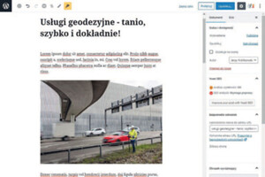 Ilustracja: Zabłyśnij w sieci. Jak samodzielnie przygotować stronę internetową firmy geodezyjnej?