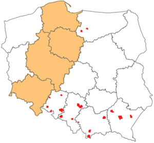 Ilustracja: Kto opracuje kolejne ortofotomapy na zlecenie GUGiK? <br />
Zakres całego przetargu dla rozdzielczości 10 cm (kolor czerwony) i 25 cm (pomarańczowy)