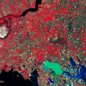 Ilustracja: Jak zdjęcia satelitarne mogą pomóc w walce z pandemią COVID-19? <br />
Południowa Ukraina, zdjęcie wykonane przez satelitę Sentinel-2 w bliskiej podczerwieni (żr. ESA)