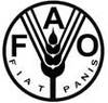 Ilustracja: FAO rozpoczyna satelitarny monitoring lasów