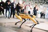 Ilustracja: Intergeo 2021. Będzie robota dla robota?
